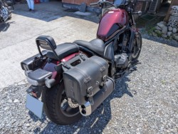 �z���_���u��1100�i���Q���k�F�a�S�S�k���j�摜14