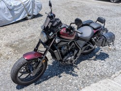 �z���_���u��1100�i���Q���k�F�a�S�S�k���j�摜2