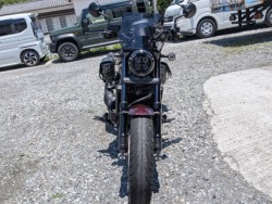 �z���_���u��1100�i���Q���k�F�a�S�S�k���j�摜3