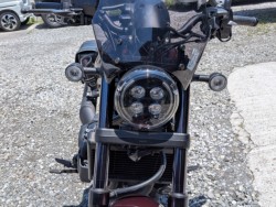 �z���_���u��1100�i���Q���k�F�a�S�S�k���j�摜4