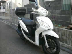 �z���_�f�B�I110�i���Q���ɗ\�s�j�摜4