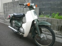 �z���_�X�[�p�[�J�u50�i���Q���ɗ\�s�j�摜4