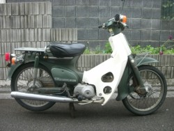 �z���_�X�[�p�[�J�u50�i���Q���ɗ\�s�j�摜5