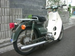 �z���_�X�[�p�[�J�u50�i���Q���ɗ\�s�j�摜6