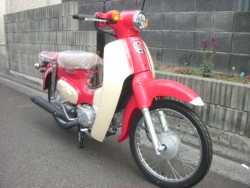 �z���_�X�[�p�[�J�u50�i���Q���ɗ\�s�j�摜5