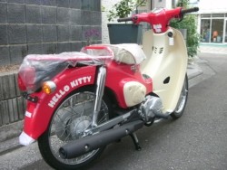 �z���_�X�[�p�[�J�u50�i���Q���ɗ\�s�j�摜7