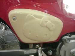 �z���_�X�[�p�[�J�u50�i���Q���ɗ\�s�j�摜9