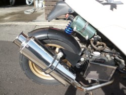 �z���_�f�B�I�i���Q�����R�s�j�摜4