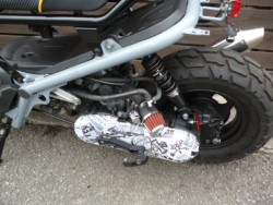 �z���_�Y�[�}�[�i���Q�����R�s�j�摜8