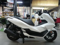 �z���_PCX�i���Q�����R�s�j�摜2