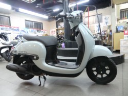 �z���_�W�����m�i���Q�����R�s�j�摜2