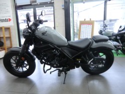 �z���_���u��250�i���Q�����R�s�j�摜3