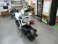 �z���_�Y�[�}�[�i���Q�����R�s�j�摜5