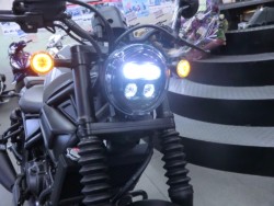 �z���_���u��250�i���Q�����R�s�j�摜8