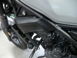 �z���_���u��250�i���Q�����R�s�j�摜14