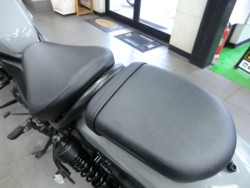 �z���_���u��250�i���Q�����R�s�j�摜17