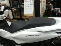�z���_PCX�i���Q�����R�s�j�摜19