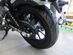 �z���_���u��250�i���Q�����R�s�j�摜20