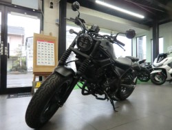 �z���_���u��250�i���Q�����R�s�j�摜22