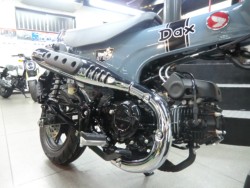 �z���_�_�b�N�X125�i���Q�����R�s�j�摜15