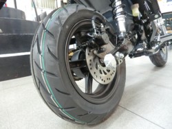 �z���_�_�b�N�X125�i���Q�����R�s�j�摜20