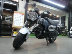 �z���_�_�b�N�X125�i���Q�����R�s�j�摜23