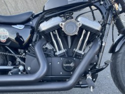 �n�[���[�n�[���[�_�r�b�h�\��XL1200X�i���Q���ɗ\�s�j�摜3