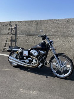 �n�[���[�n�[���[�_�r�b�h�\��FXDL�i���Q���ɗ\�s�j�摜10