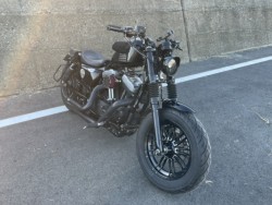 �n�[���[�n�[���[�_�r�b�h�\��XL1200X�i���Q���ɗ\�s�j�摜7