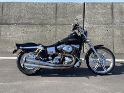 �n�[���[&nbsp;�n�[���[�_�r�b�h�\��FXDL 