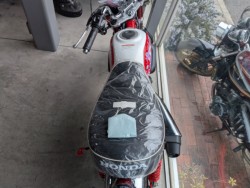 �z���_�����L�[125�i���쌧�ω����s�j�摜14