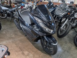 �z���_PCX�i���쌧�ω����s�j�摜2