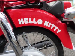 z_X[p[Ju50i쌧sj摜8