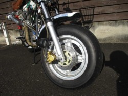 �z���_�_�b�N�X50�i���쌧���̌S���쒬�j�摜5