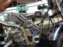 �z���_�_�b�N�X50�i���쌧���̌S���쒬�j�摜8
