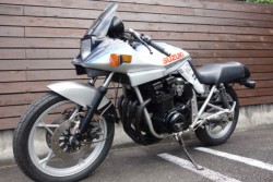 XYLGSX1100Si쌧̌S쒬j摜12