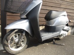 �z���_Today�i���쌧���̌S���쒬�j�摜13