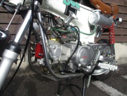 �z���_�_�b�N�X50�i���쌧���̌S���쒬�j�摜18