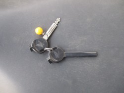 �z���_Today�i���쌧���̌S���쒬�j�摜19