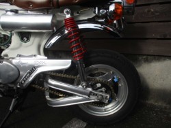 �z���_�_�b�N�X50�i���쌧���̌S���쒬�j�摜20