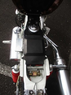�z���_�_�b�N�X50�i���쌧���̌S���쒬�j�摜22