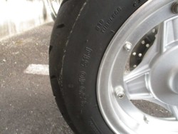 �z���_�_�b�N�X50�i���쌧���̌S���쒬�j�摜29