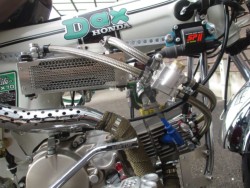 �z���_�_�b�N�X50�i���쌧���̌S���쒬�j�摜32