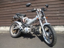 UbNX}_Xi쌧̌S쒬j摜1