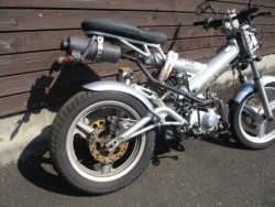 UbNX}_Xi쌧̌S쒬j摜7