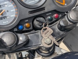 �X�Y�LGF250�i���쌧��o�s�j�摜8