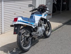 �X�Y�LGF250�i���쌧��o�s�j�摜10