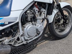 �X�Y�LGF250�i���쌧��o�s�j�摜12