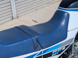 �X�Y�LGF250�i���쌧��o�s�j�摜16