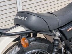 �J���T�L250TR�i���쌧��o�s�j�摜6